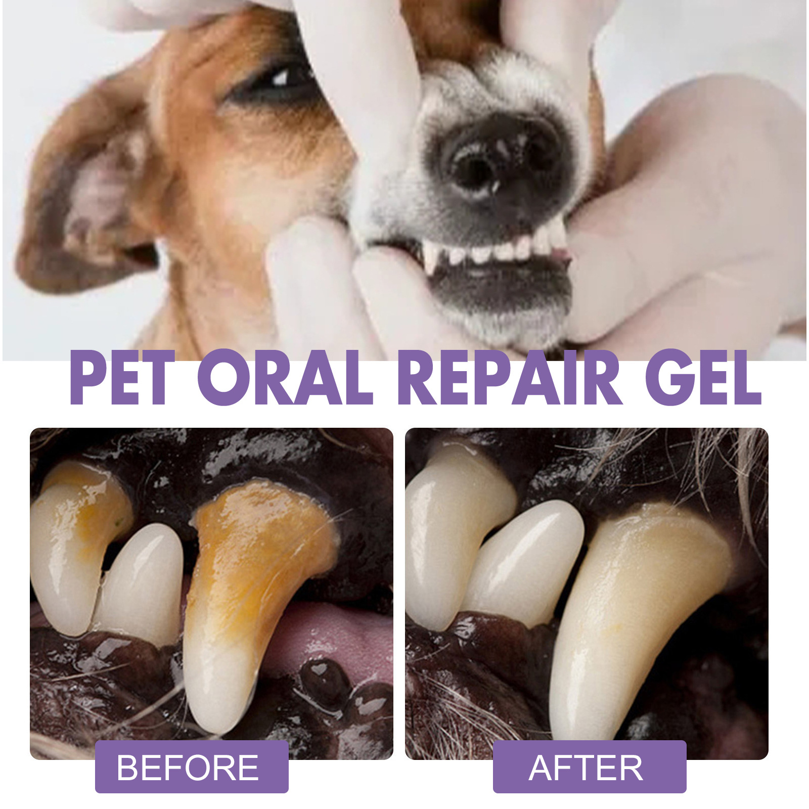 Gel de reparación Oral para ma - Teeth Whitening Before And After reseña y precio