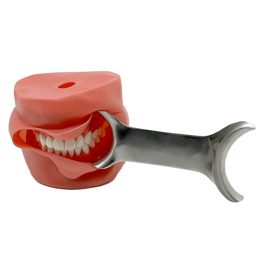 Juego de 3 Retractores Dentale - Teeth Whitening For Photos reseña y precio